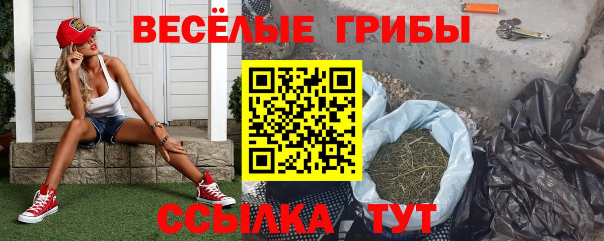 Псилоцибиновые грибы мицелий  Псилоцибиновые грибы Magic Shrooms  Вход с VPN  Волхов 